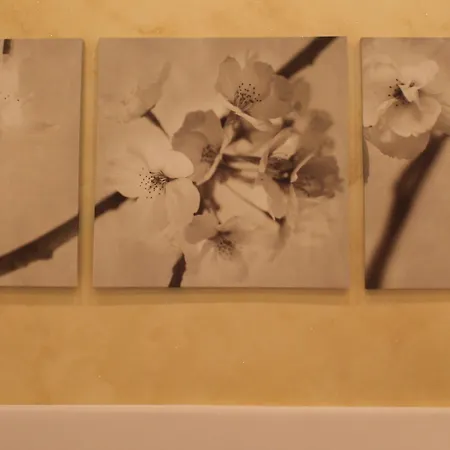 Golfo Della Luna בית הארחה